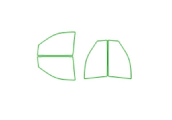 A green line drawing of two different shapes.