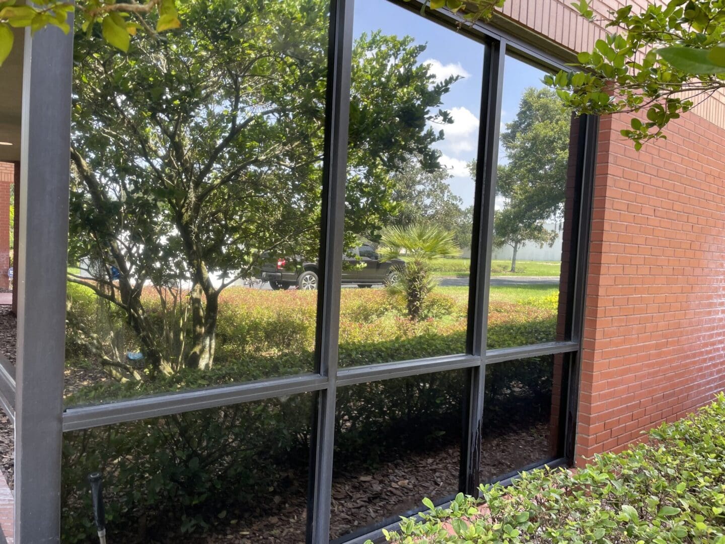 A window with a view of trees and grass.